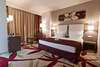 Отель Golden Tulip Ana Dome Hotel Клуж-Напока-5