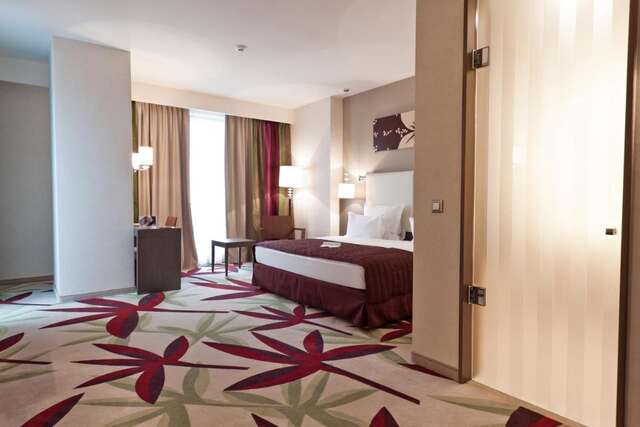 Отель Golden Tulip Ana Dome Hotel Клуж-Напока-12