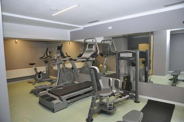 Отель Golden Tulip Ana Dome Hotel Клуж-Напока-20