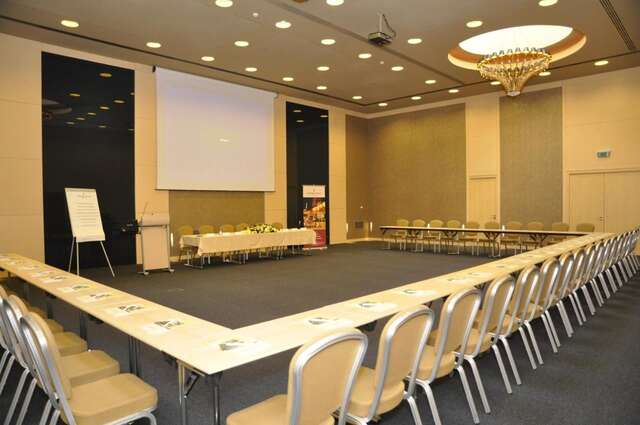 Отель Golden Tulip Ana Dome Hotel Клуж-Напока-29