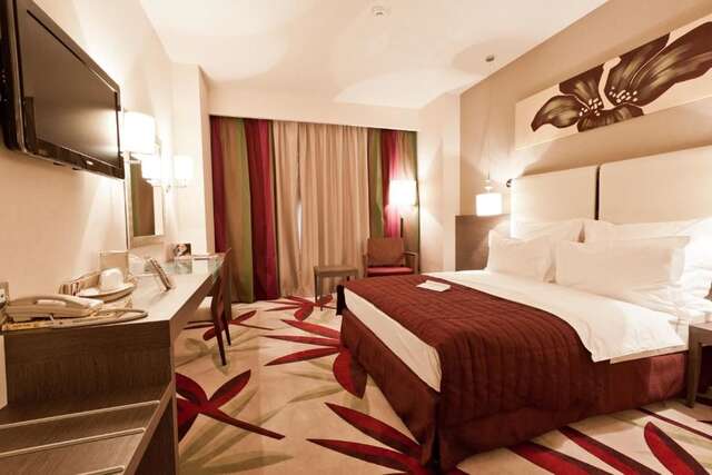 Отель Golden Tulip Ana Dome Hotel Клуж-Напока-48