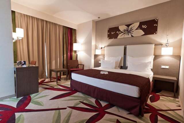 Отель Golden Tulip Ana Dome Hotel Клуж-Напока-8