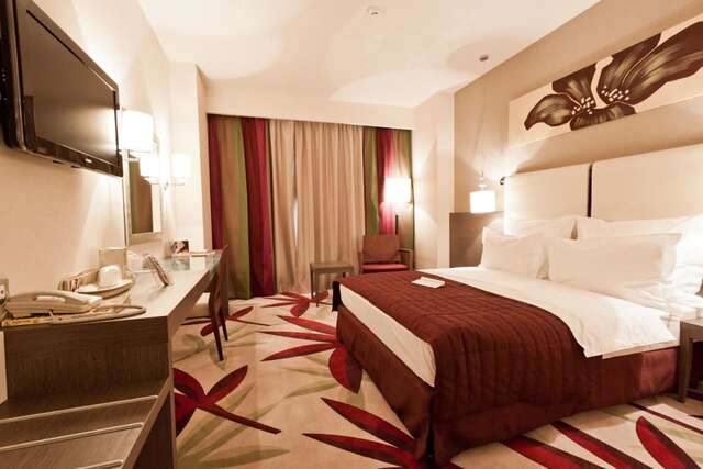 Отель Golden Tulip Ana Dome Hotel Клуж-Напока-10