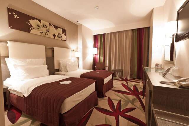 Отель Golden Tulip Ana Dome Hotel Клуж-Напока-11